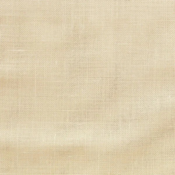 Sense Fabric - Vanilla by white plain voile-sheer fabric from Wemyss