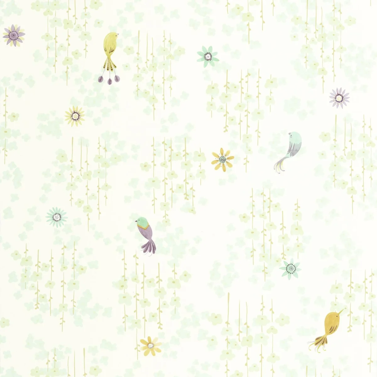 Tropical Birds Wallpaper - Vert Amande by green children's wallpaper from casadeco