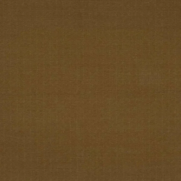 brown plain velvet-chenille fabric from Camengo