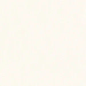 white plain cotton fabric from Camengo