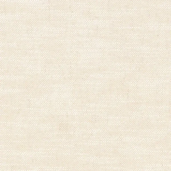 Cancale Fabric - Ivoire by white plain cotton fabric from Camengo