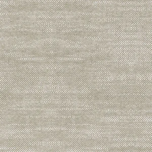 black-grey plain cotton fabric from Camengo