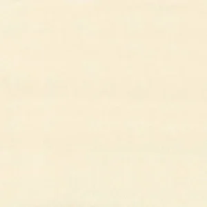 white plain silk-satin fabric from Camengo