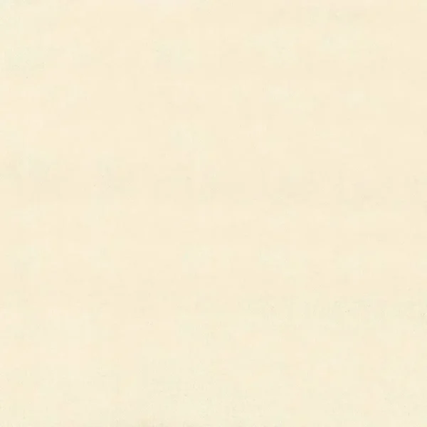 white plain silk-satin fabric from Camengo