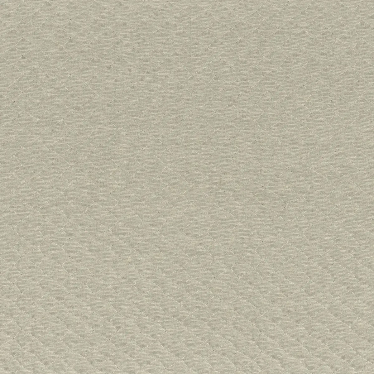green plain embroideried fabric from Camengo