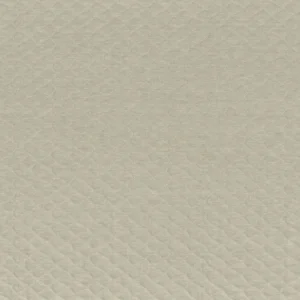 green plain embroideried fabric from Camengo