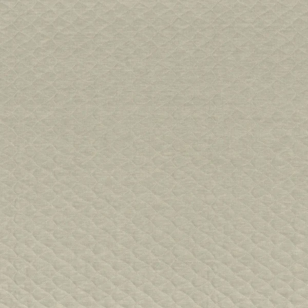 Espuma Fabric - Sauge by green plain embroideried fabric from Camengo