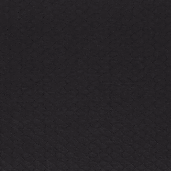 Espuma Fabric - Carbone by black-grey plain embroideried fabric from Camengo