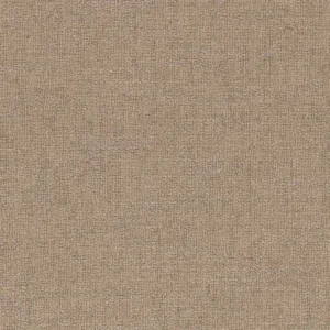 neutral plain woven fabric from Casamance