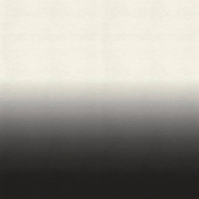 Winona White Fabric - Anthracite swatch
