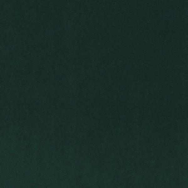 Minaude Fabric - Hosted by green plain velvet-chenille fabric from Casamance