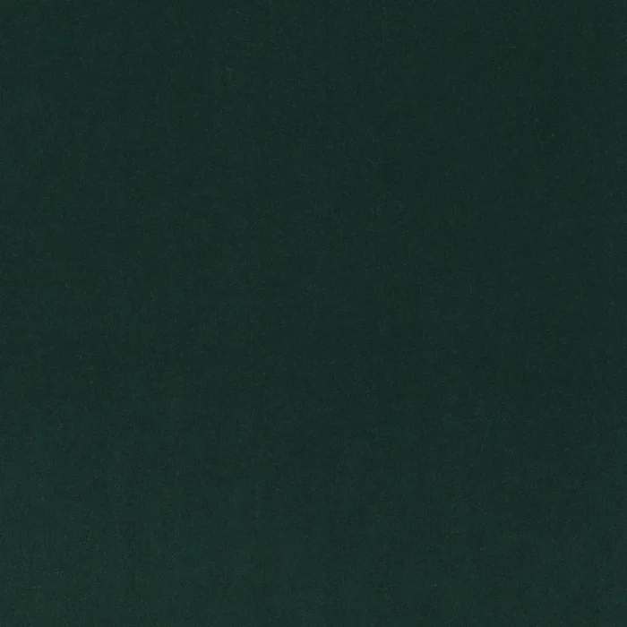 Minaude Fabric - Hosted swatch