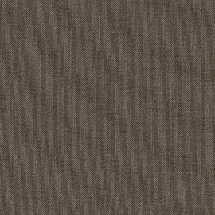 Paris Texas Fabric - Bistre swatch