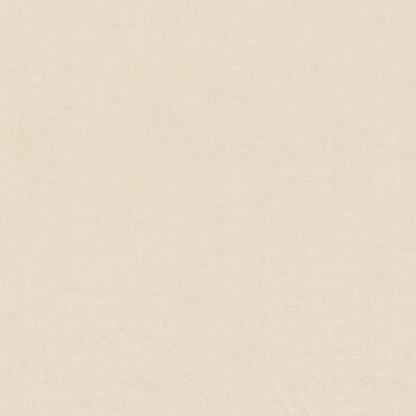 Paris Texas Fabric - Mother of Pearl by black-grey plain woven fabric from Casamance