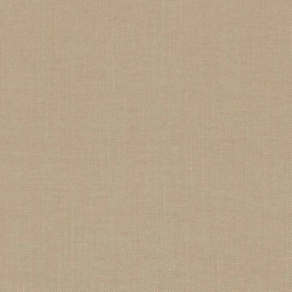 Paris Texas Fabric - Champagne by brown plain woven fabric from Casamance