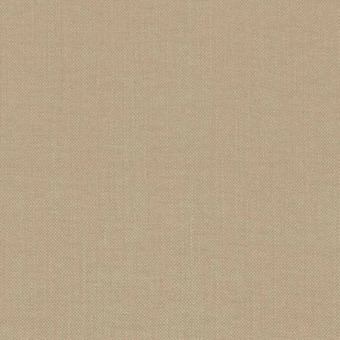 Paris Texas Fabric - Champagne swatch