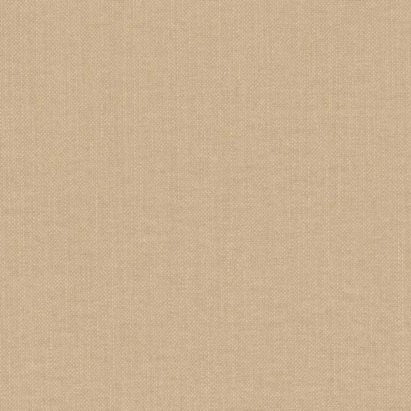 Paris Texas Fabric - Praline by brown plain woven fabric from Casamance