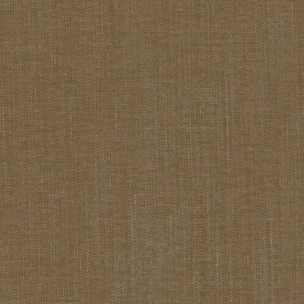 Paris Texas Fabric - Mordore by brown plain woven fabric from Casamance