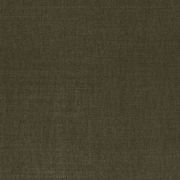 Paris Texas Fabric - Lawyer by black-grey plain woven fabric from Casamance