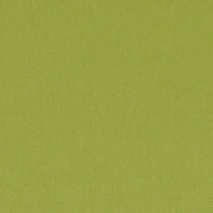 green plain woven fabric from Casamance