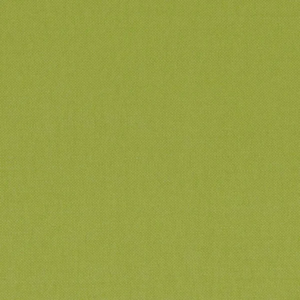 Paris Texas Fabric - Moss Green by green plain woven fabric from Casamance