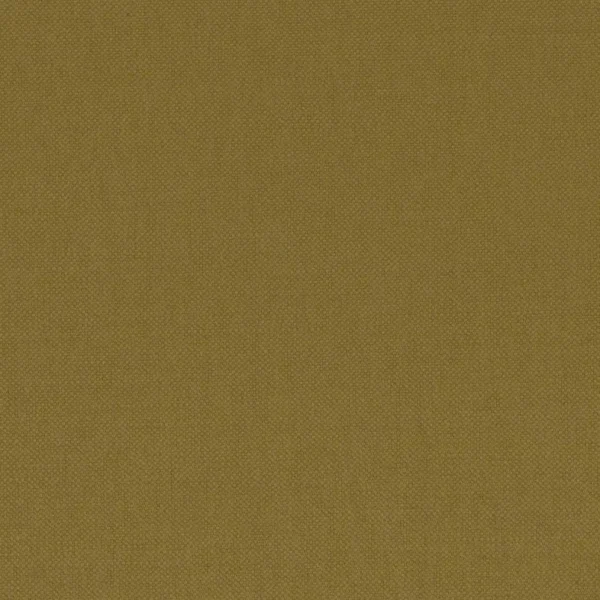Paris Texas Fabric - Pistachio by brown plain woven fabric from Casamance