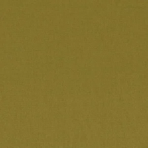 green plain woven fabric from Casamance