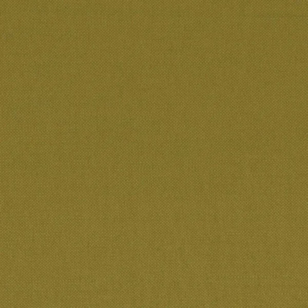 green plain woven fabric from Casamance