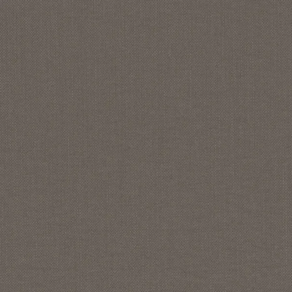 Paris Texas Fabric - Violin by black-grey plain woven fabric from Casamance