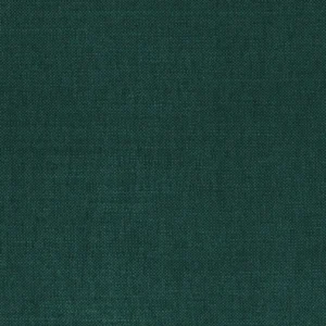 green plain woven fabric from Casamance