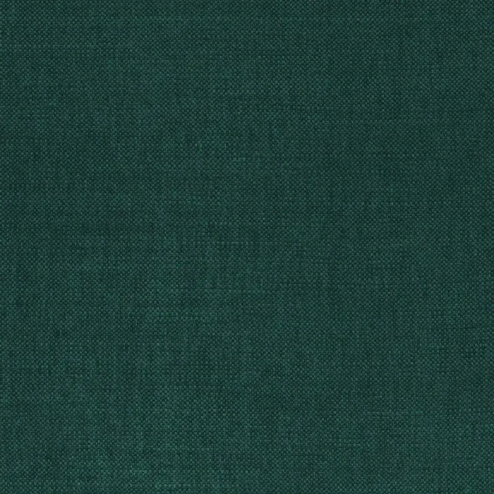 Paris Texas Fabric - Bottle swatch