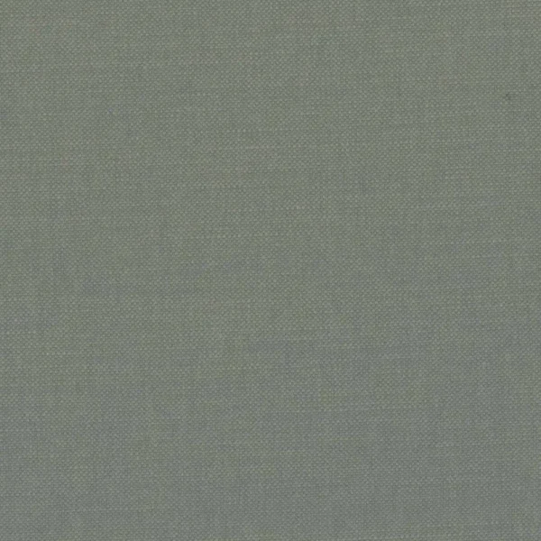 Paris Texas Fabric - Green Grey by black-grey plain woven fabric from Casamance