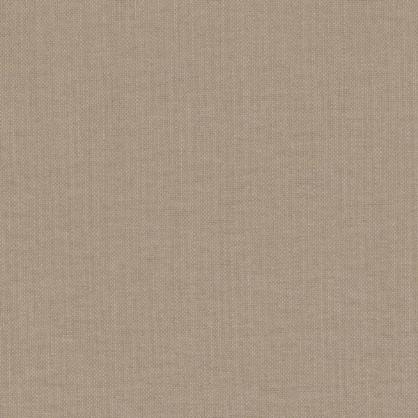 Paris Texas Fabric - Iron Grey by brown plain woven fabric from Casamance