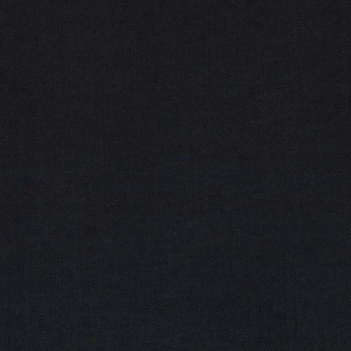 Paris Texas Fabric - Black swatch