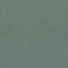 green plain woven fabric from Casamance