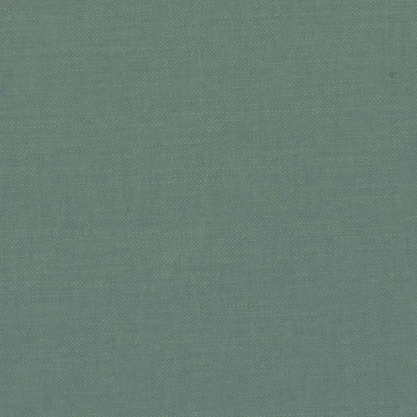 green plain woven fabric from Casamance