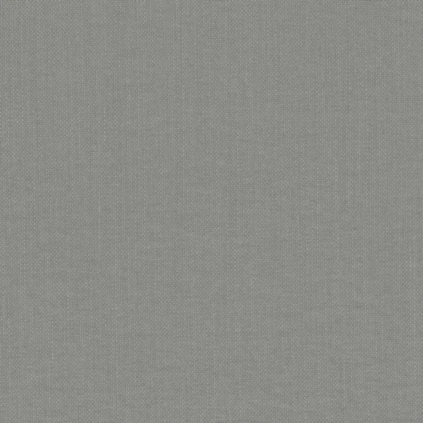 Paris Texas Fabric - Pearl Grey by black-grey plain woven fabric from Casamance