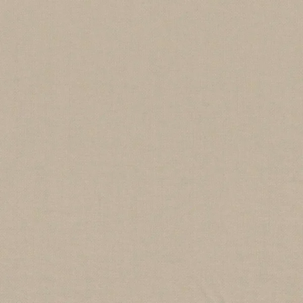 Paris Texas Fabric - Beige by brown plain woven fabric from Casamance