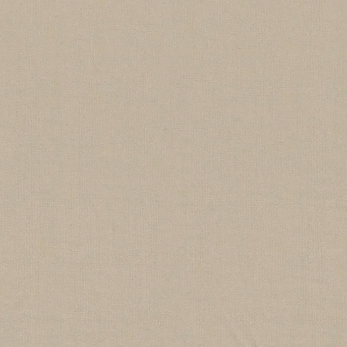 Paris Texas Fabric - Beige swatch