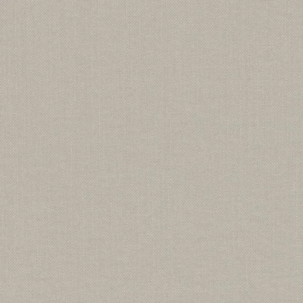 Paris Texas Fabric - Money by black-grey plain woven fabric from Casamance