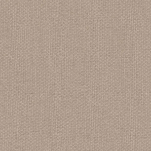 Paris Texas Fabric - Flax by brown plain woven fabric from Casamance