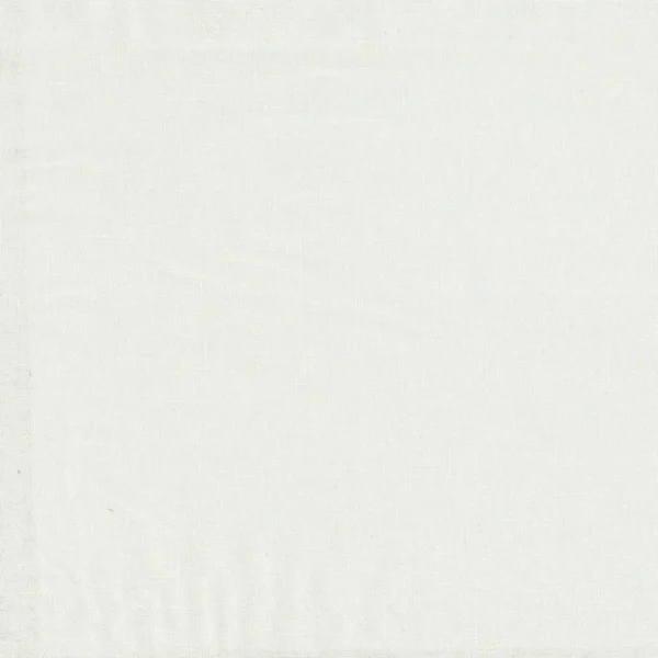 Illusion 300 Fabric - Blanc by white plain linen fabric from Casamance