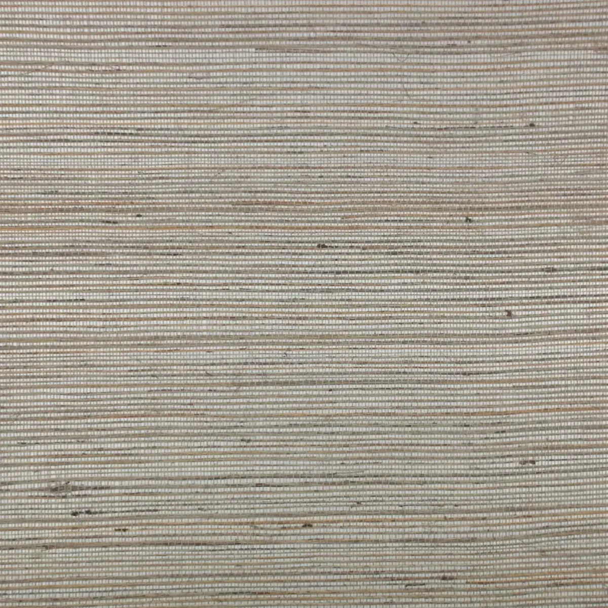 Pencil Wallcovering - Taupe by white misc wallpaper from casamance