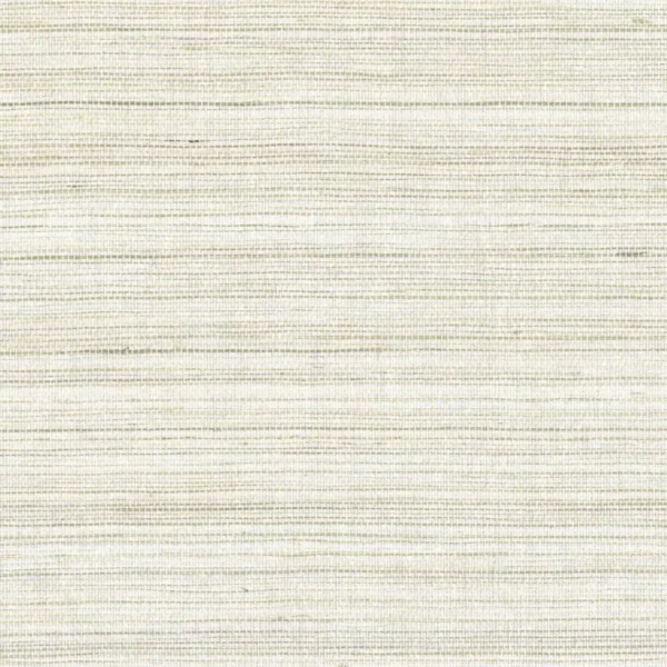 Pencil Wallcovering - Tourterelle by white misc wallpaper from casamance