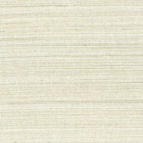 Pencil Wallcovering - Calcaire by white misc wallpaper from casamance