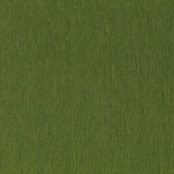 Atmosphere Wallcovering - Vert Mousse by green plain wallpaper from casamance