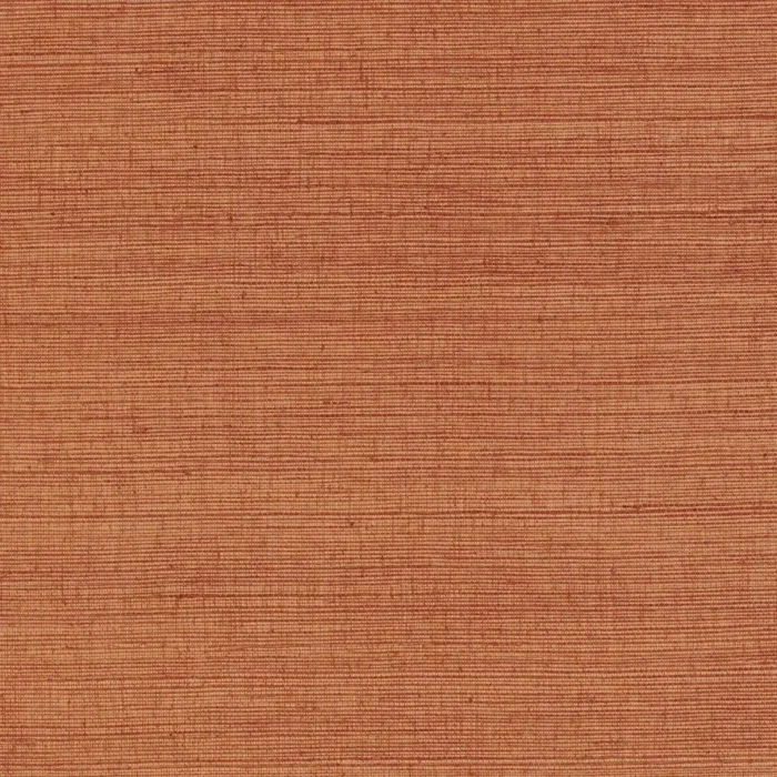 Deserti Wallcovering - Orange Brule swatch