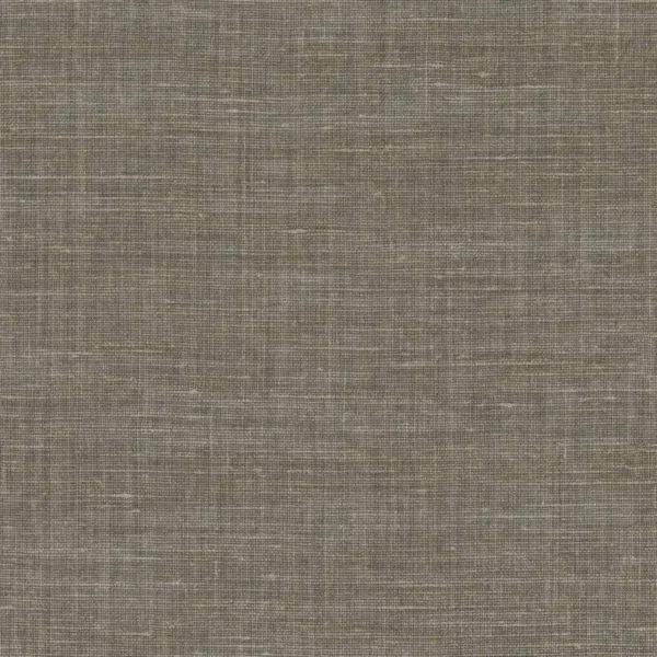 Shinok Wallpaper - Taupe Gray by brown plain wallpaper from casamance