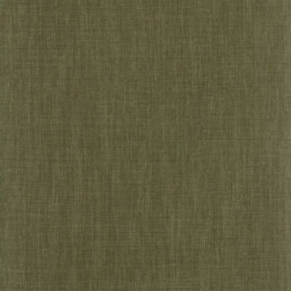 Shinok Wallpaper - Lichen by green plain wallpaper from casamance