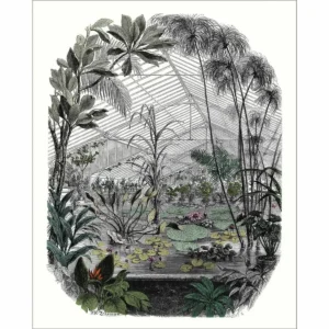 black-grey botanical wallpaper from caselio